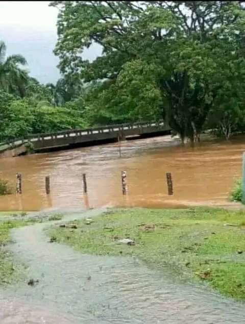 Durante las últimas 24 horas y hasta las 8 am se han reportado numerosas lluvias en región oriental y la costa norte central. Los mayores acumulados: Jamal, Guantánamo, y la ciudad de Holguín con 77.7 y 73.2 milímetros, respectivamente @EdMartDiaz @SANTANACITMA @citmacuba