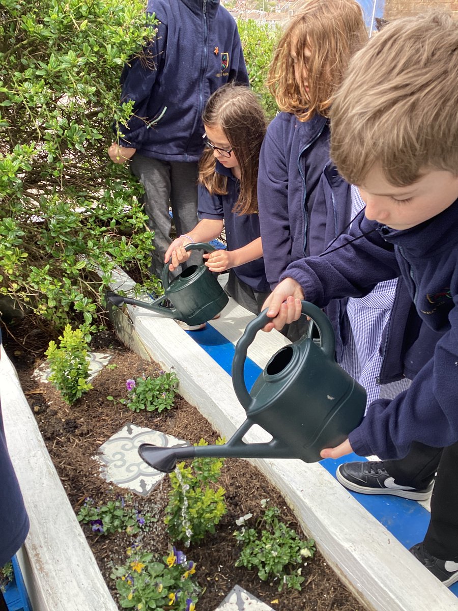 It was Year 3 Pankhurst class' turn to water the beds today, our plants are starting to take hold, grow and blossom. Thanks again to the PTFA who spent time and money replanting these areas for our children to look after and enjoy.
#woodingdean #rkpswoodingdean #plants #ptfa
