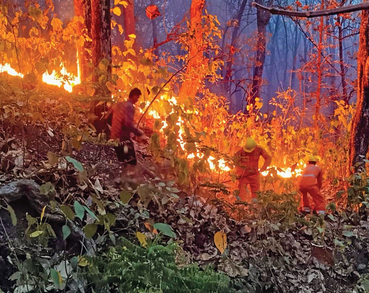 BIG NEWS 🚨 Massive fire breaks out in Uttarakhand forests. 10 people arrested including Mohammad nurul, Feroz, Shalem, Mohammad Najefar, and Mosar Alam as per Panchajanya report. Satellite images captured show smoke covering Uttarakhand skies. 100 hectares of land engulfed in…