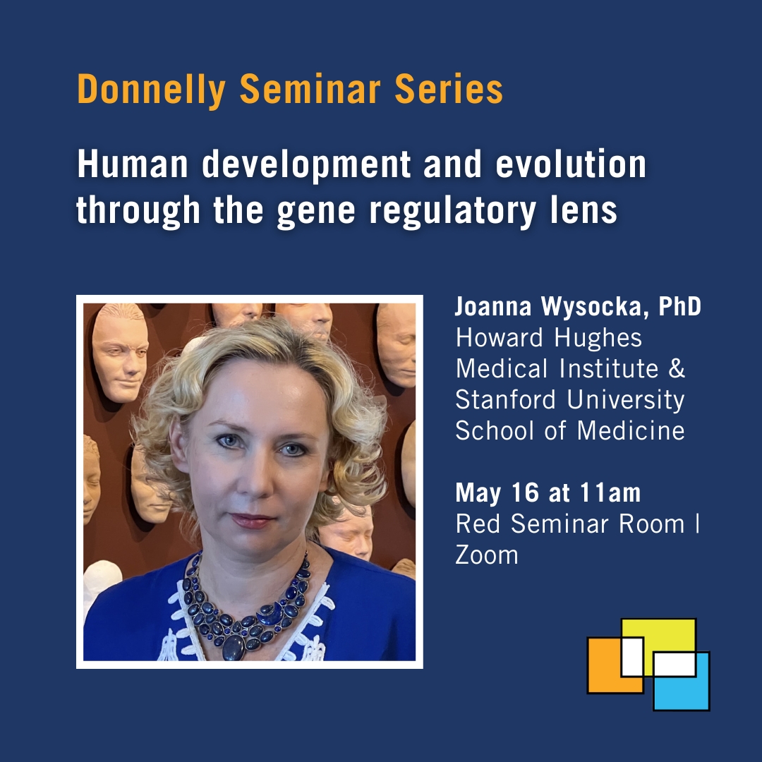 Join us at the Donnelly Centre for our next Donnelly #Seminar Series speaker: Joanna Wysocka from @HHMINEWS and @StanfordMed! 📅 Thursday, May 16 at 11am ET 📍 Red Seminar Room at Donnelly Centre | Zoom Save Your Spot 👉 uoft.me/JoannaWysocka