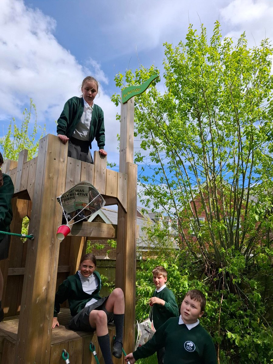 The Butts Primary tweet media