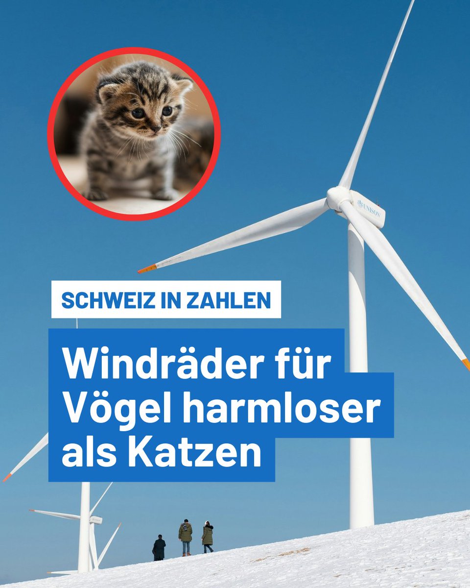 Im Abstimmungskampf ist alles erlaubt?

Bei der Abstimmung über das Stromversorgungsgesetz ziehen Gegner sogar das Argument des Vogelsterbens aus dem Register.

Wir sind dem (Schein-) Argument auf den Grund gegangen – im neusten «Schweiz in Zahlen».

saldo.ch/artikel/artike…