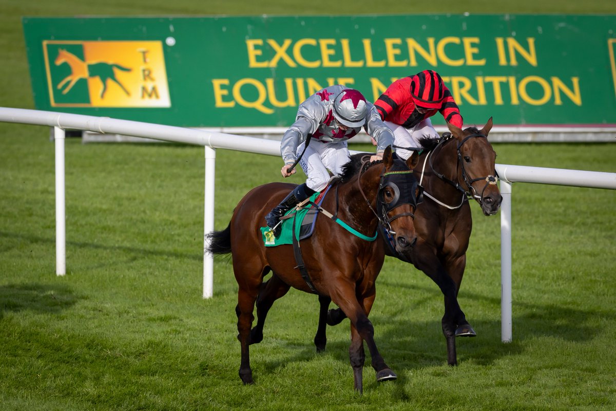 We are looking forward to the @TRMNutrition Kurasyn Handicap on Saturday 11th May 🏇2/6 for the season 🌎TRM is an Irish company distributing worldwide. All of their products are made locally down the road in Newbridge 👉trm-ireland.com #ExcellenceInEquineNutrition