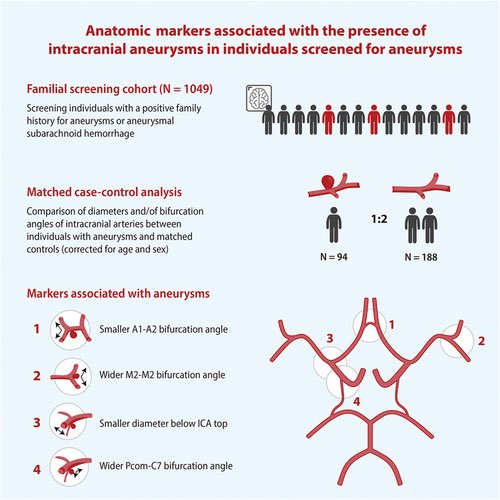 Anatomical Markers Associated With the Presence of Intracranial Aneurysms in Individuals Screened for Aneurysms | Stroke: Vascular and Interventional Neurology ahajournals.org/doi/full/10.11… @StrokeAHA_ASA @SVINJournal @svinsociety