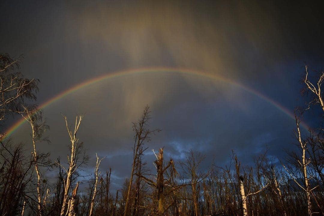 🇺🇦 The war is not only about mud and grief, it is also about landscapes. When you live in bad conditions for a long time, you start looking for beauty around you. And you find it. A rainbow rises over a bombed-out landing in the Donetsk region.