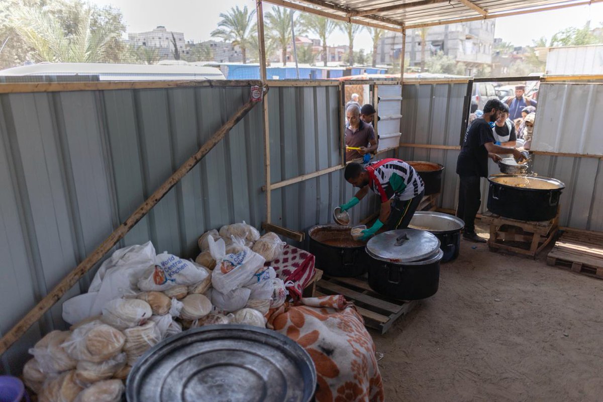 WCK teams are delivering tens of thousands of meals to displaced families in Rafah daily. Alongside our community kitchens, we’ve scaled quickly since resuming operations in Gaza. Our Palestinian teams are working tirelessly to ensure food reaches people in need. #ChefsForGaza