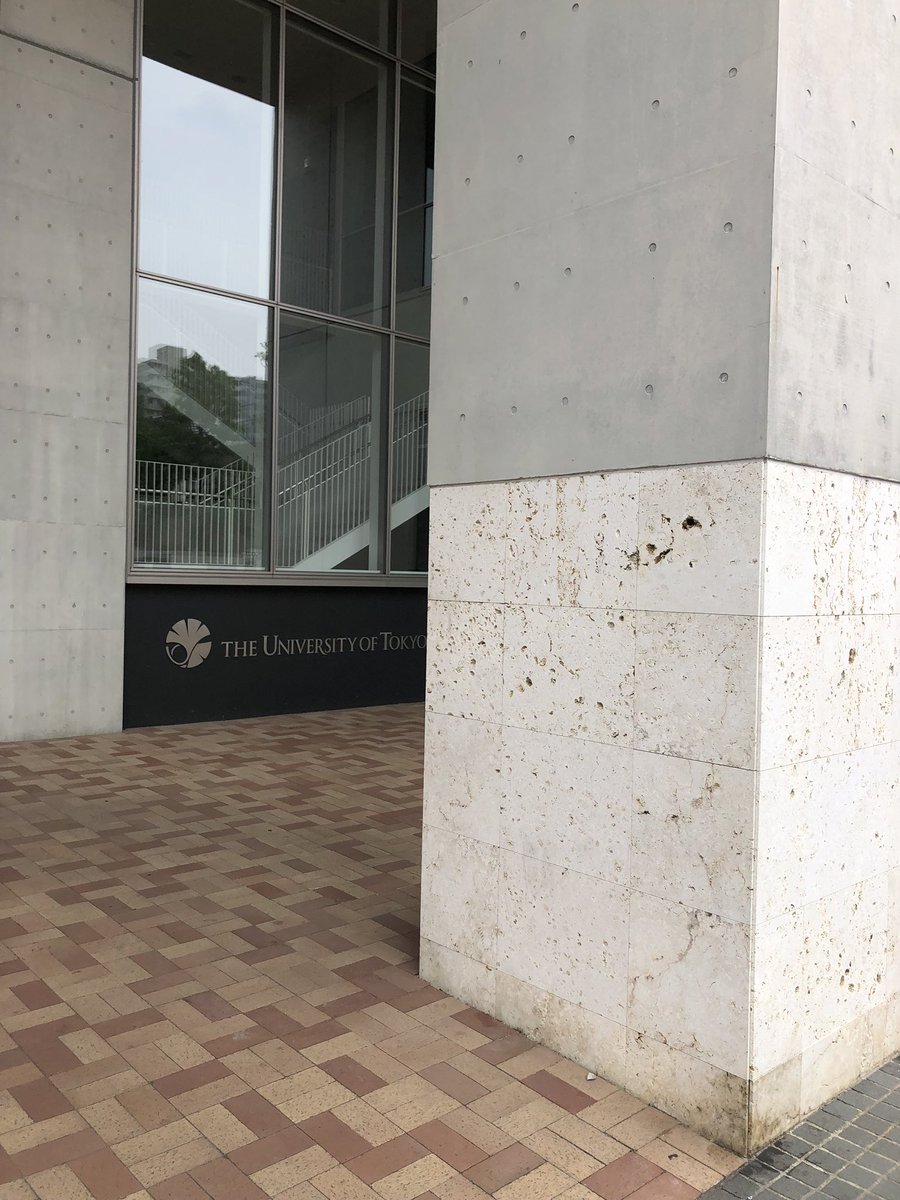 東京大学柏の葉キャンパス駅前サテライトの柱は琉球石。ウニやサンゴ、巻貝の化石を発見。
#街の中で見つかるすごい石
#UrbanGeology
#金曜日だから化石貼る
#FossilFriday