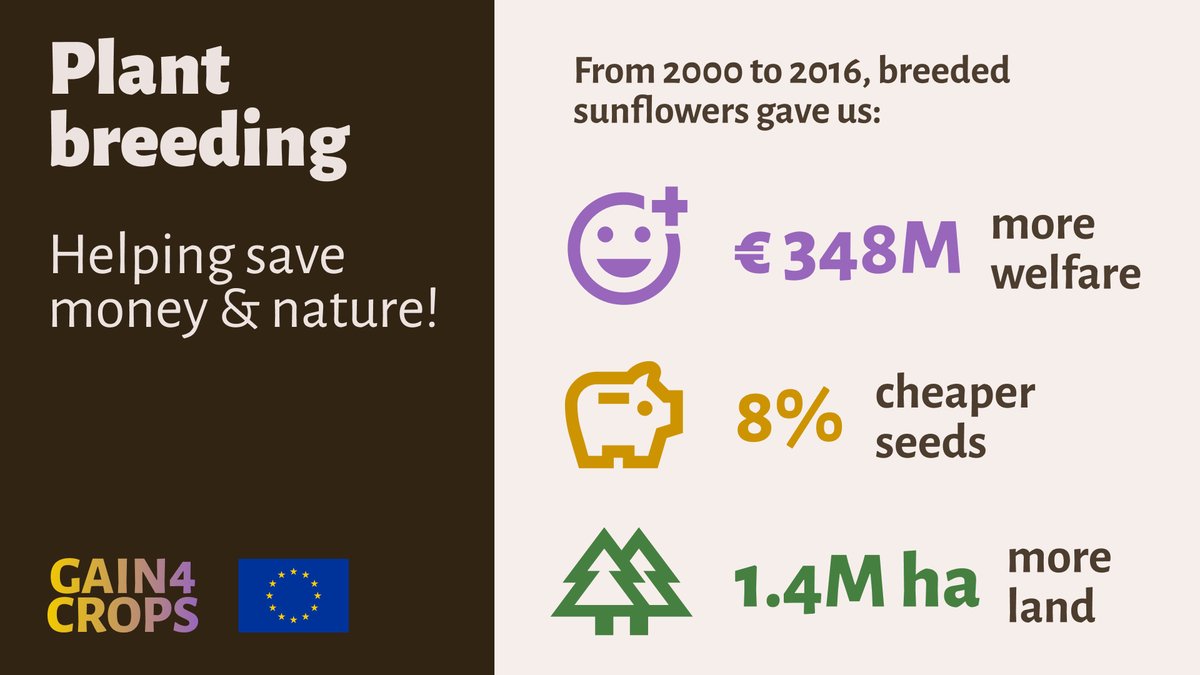 From 2000 to 2016, #PlantBreeding in the EU increased productivity by 74%. It creates jobs, saves land and water, reduces CO2 emissions, and preserves #biodiversity! 🌻💪 🔎 Read the @HFFA_Research by @SNoleppa at: hffa-research.com/projects-publi… #EUAg #SustainableAgriculture