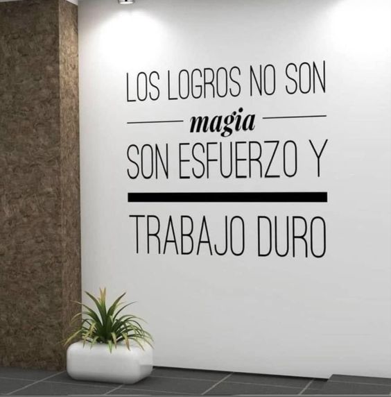 Alex Sosa (@sosaalexb0) on Twitter photo 