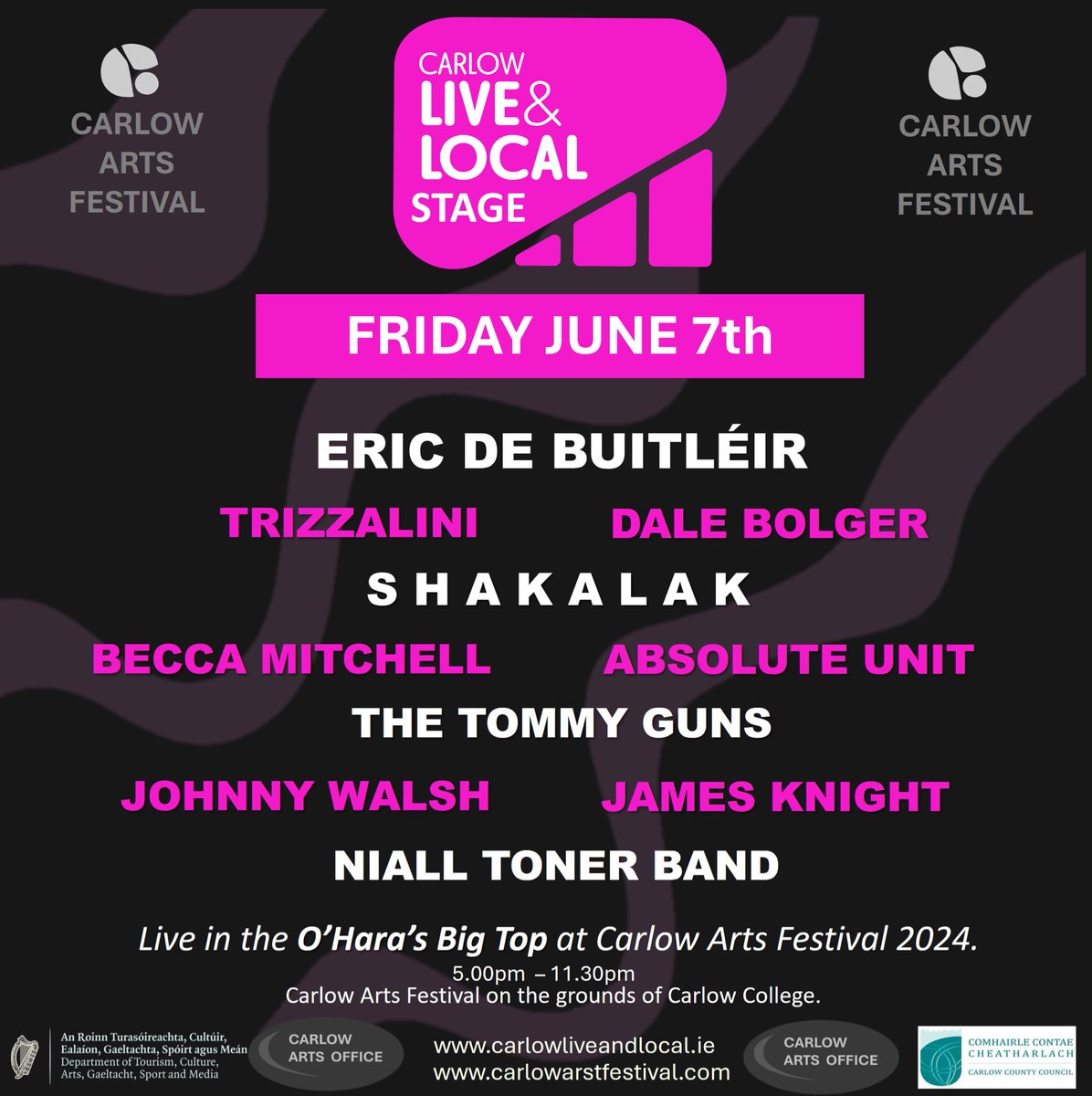 Our Friday line-up for this year’s Live and Local Thanks to @CarlowArts and Carlow Arts Office, @Carlow_Co_Co #carlowartsfestival