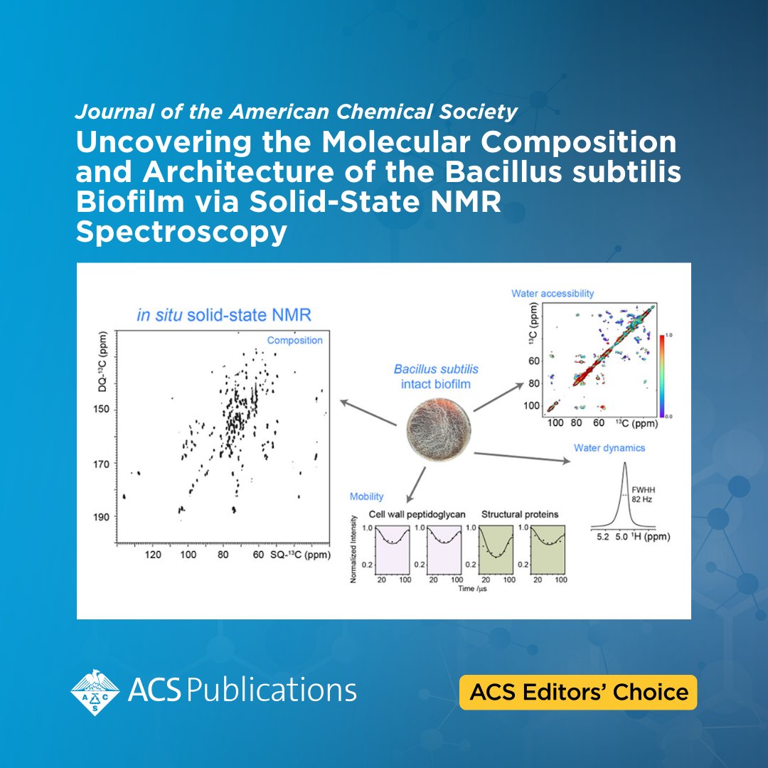 'Uncovering the Molecular Composition and Architecture of the Bacillus subtilis Biofilm via Solid-State NMR Spectroscopy' from @J_A_C_S is currently free to read as an #ACSEditorsChoice. 📖 Access the full article: go.acs.org/9cf