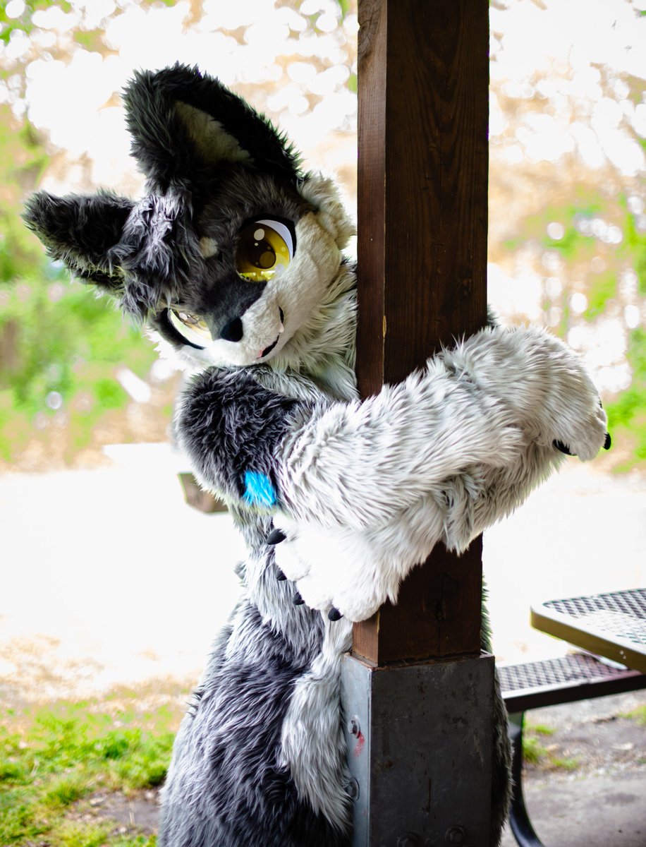 I just wanted to say hello :3 and happy #FursuitFriday 🪡: @shuze926 / 📸: @IronYote