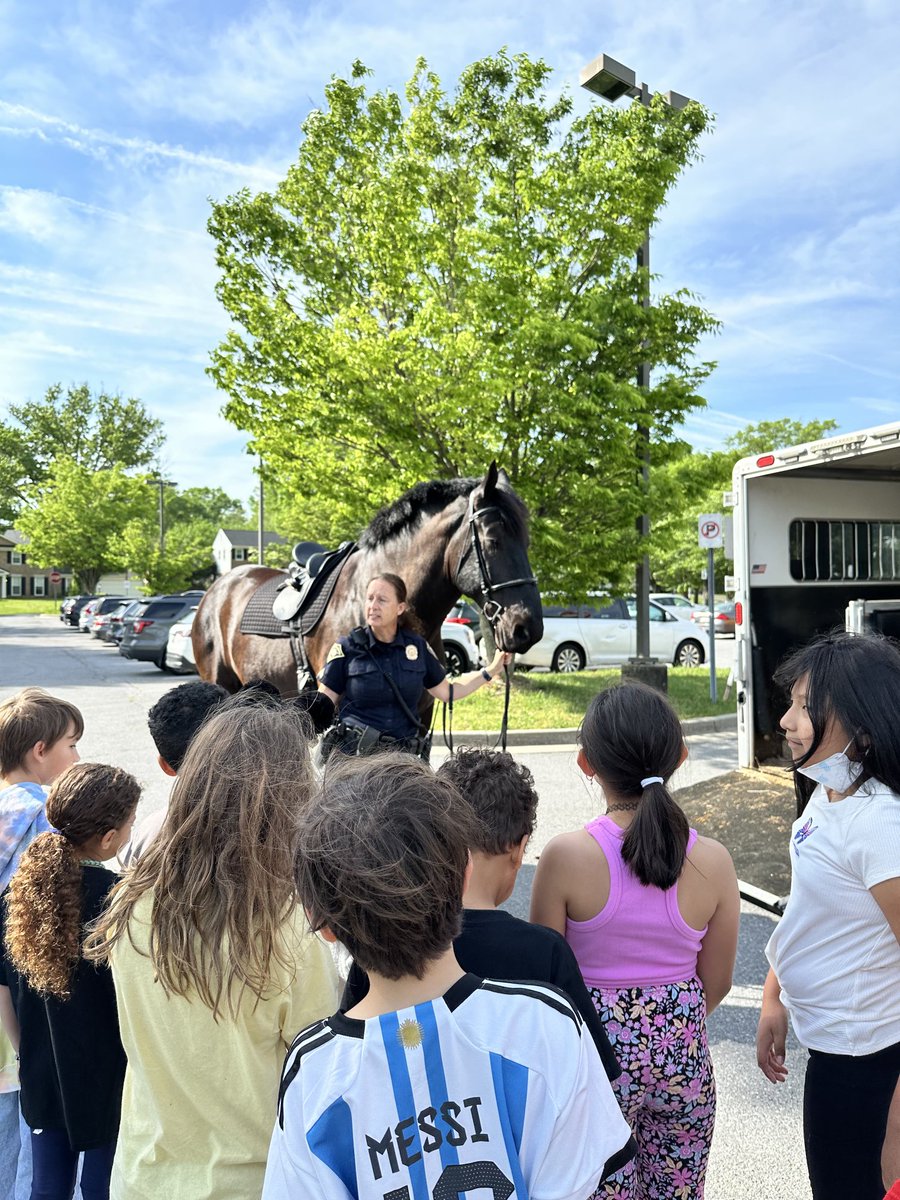 Career Day…Dud I tell you we had a horse at FVES for Career Day today?!? 💕🌸💕