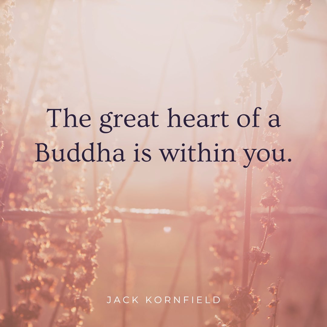 No matter the situation, always remember the great heart of a Buddha is within you. 🤍☸️🧘

#Buddha #nature #buddhanature #buddhism #spirituality #bodhisattva #love #lovingkindness #compassion #lovingawareness #jackkornfield #wisdom