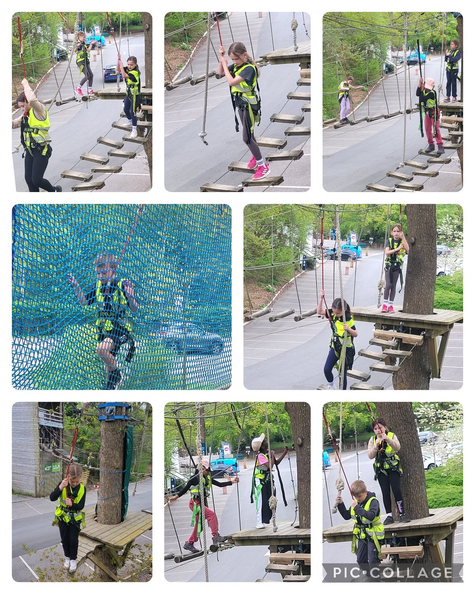 High ropes were very challenging, but we did it! @hazeltreegsp