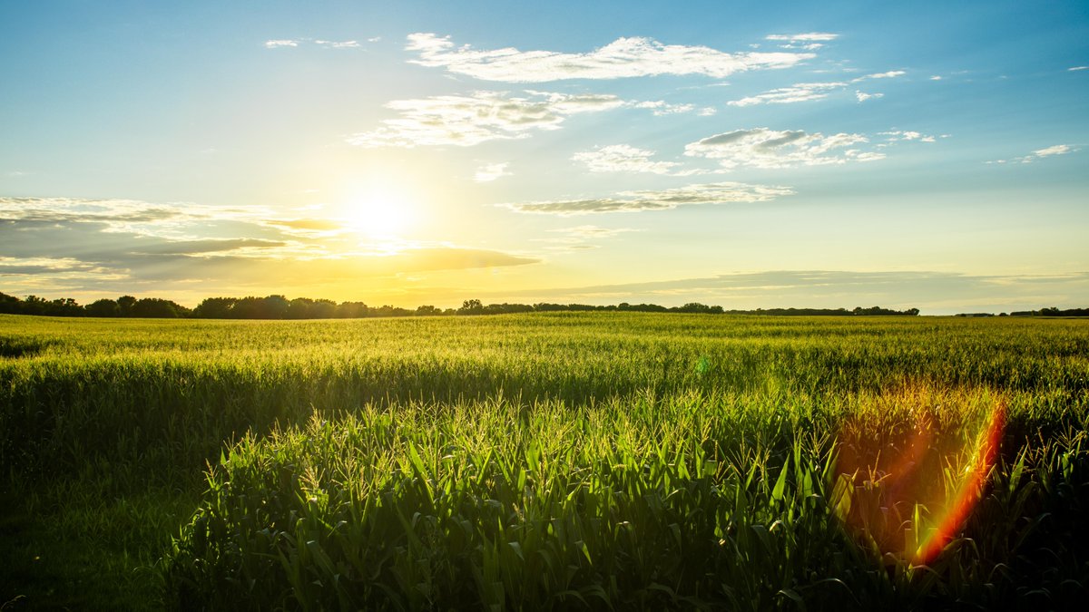 𝐒𝐭𝐚𝐭𝐞 𝐒𝐞𝐫𝐢𝐞𝐬-𝟐𝟗𝐭𝐡 𝐒𝐭𝐚𝐭𝐞-𝐈𝐨𝐰𝐚
-As a Midwestern state, Iowa forms a bridge between the forests of the east and the grasslands of the high prairie plains to the west. 
-Date of Statehood: Dec. 28, 1846
-Capital: Des Moines
-Population: 3,046,355 (2010)
#Iowa