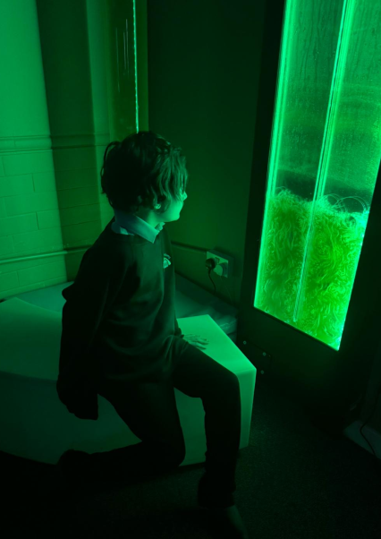 Horizons Trust tweet media