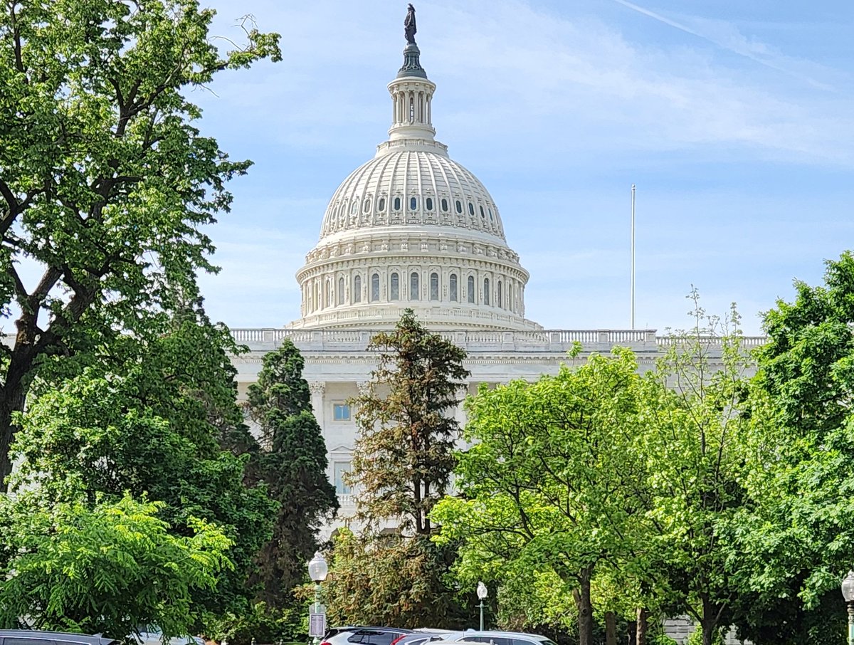 #StreetPhotography 2024

#StreetScenes #architecture
#USCapitol
#CapitolHill
From North

#WashingtonDC 

#JPHogan - #photography