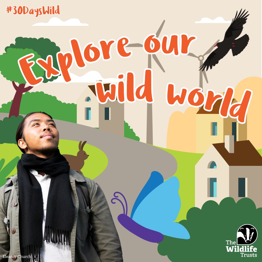 Get to know the wild world on your doorstep this June 🦔 Whether you live in a quiet country village or busy town, our #30DaysWild challenge is for EVERYONE! We want to show you there’s time for nature every day. 💚 Sign up now for your free pack! 👉 wildlifetrusts.org/30dayswild