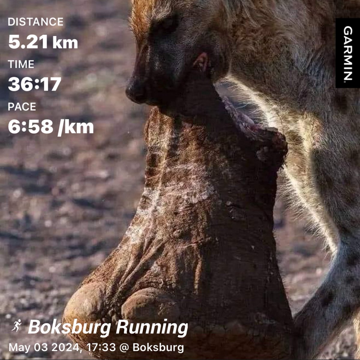 Freaky Friday Run 🏃🏿‍♂️ 🦅 #IPaintedMyRun #TrapnLos #FetchYourBody2024 #Khozoskithefinisher #Khozoskithecyclist 'The larger the group, the worse the conversation.'