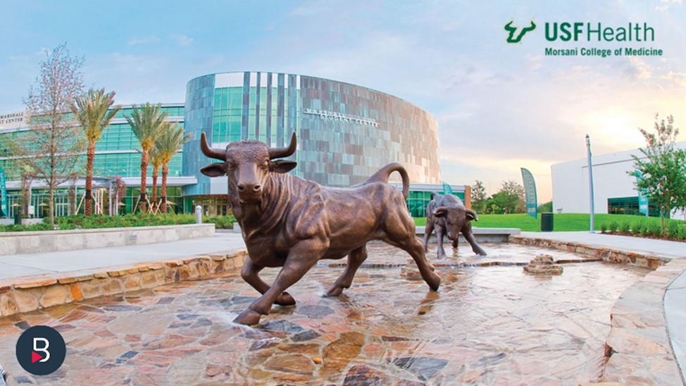 🎉Congrats to all #USFHealth graduates 🎓 for your outstanding achievement. Best wishes as you embark on the next chapter of your lives. #USFGrad #GoBulls #Bisk #graduation #commencement #classof2024 @biskeducation @USFHealth