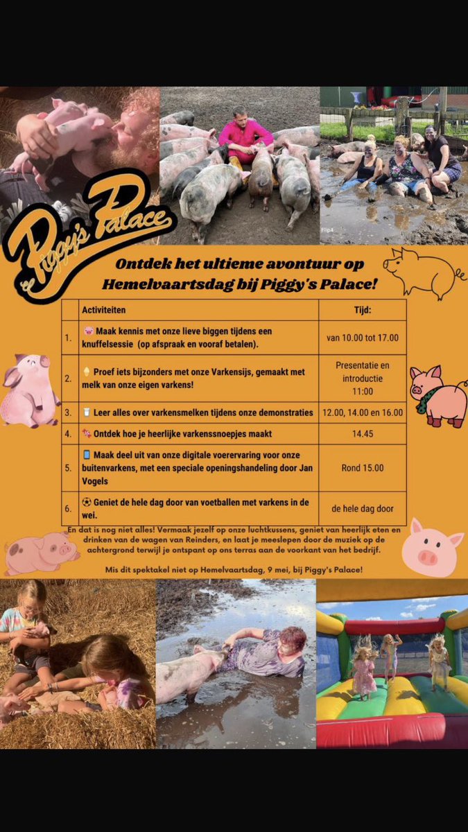 IlonaLesscher's tweet image. 