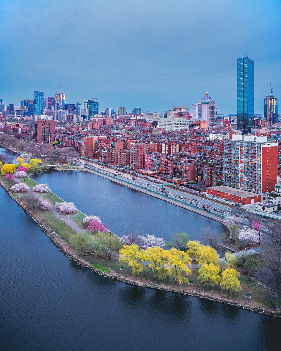 Spring in Boston from above the Esplanade 🌳🌸 
.
.
.
➢ Credit 👉🏆📸  @oschapov 
.
.
➢ Alliance @america_states @enjoy_la_ @latinbrazil
. 
.
#conexaoamerica #boston #spring #charlesriver #massachusetts