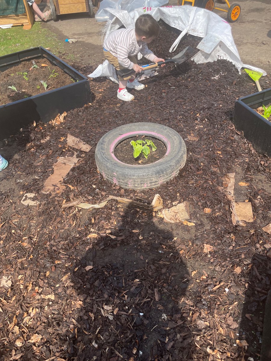 Alloway Early Years Centre (@allowayeyc) on Twitter photo Developing our sustainability garden on this lovely sunny day โ๏ธ huge thanks to <a href="/AllowayPrimary/">Alloway Primary School</a> parent council, <a href="/GemmellsGC/">Gemmell's Garden Centre</a> and all families that have donated to support this! We canโt wait to see what we can grow ๐๐ฅ๐ฅ๐ฝ๐ฅ <a href="/SACEarlyYears/">SAC Early Years</a> Developing our sustainability garden on this lovely sunny day โ๏ธ huge thanks to <a href="/AllowayPrimary/">Alloway Primary School</a> parent council, <a href="/GemmellsGC/">Gemmell's Garden Centre</a> and all families that have donated to support this! We canโt wait to see what we can grow ๐๐ฅ๐ฅ๐ฝ๐ฅ <a href="/SACEarlyYears/">SAC Early Years</a>