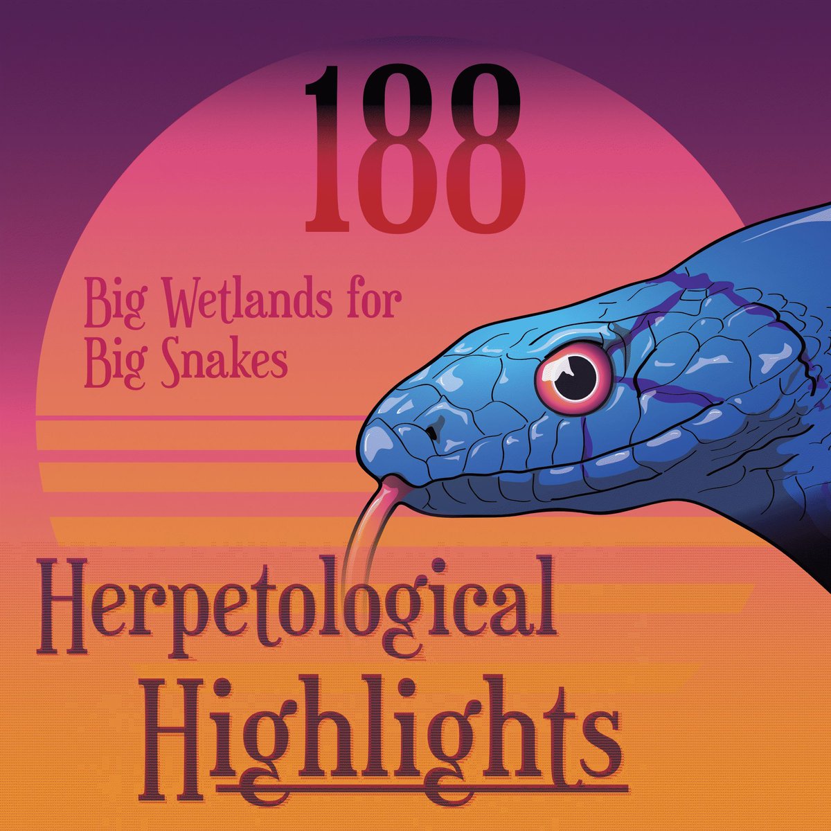Giant garter snakes moving to new wetlands - we chat about it in episode 188 + a species of krait that has been described from Thailand. 

Listen now: buff.ly/3QJG2bV
Spotify: buff.ly/3GNlSJl
Apple Podcasts: buff.ly/3IV4epB
Youtube: buff.ly/3SeKp1d