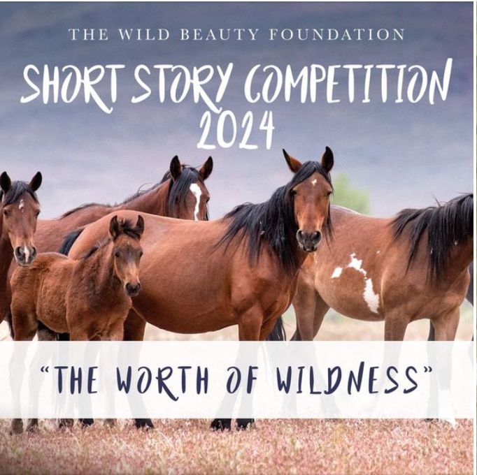 Horse Lover’s Math’s latest newsletter features links to a Short Story competition for youth, Olympic Eventing history, FREE online course and more buff.ly/44tRtvi #horselover #homeschool #unschool #writingcontest #equestrian #ponyhour #horses
