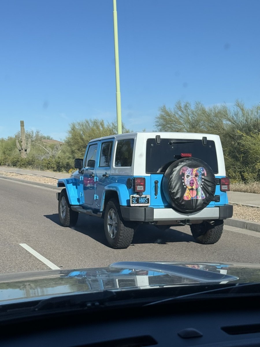 Just a couple of blue jeeps 

#jeep #jeeps #jeeplife #justajeep