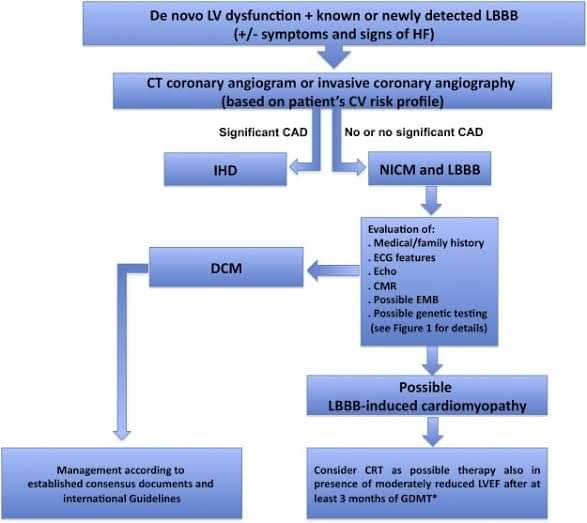 🔴Left bundle branch block-induced cardiomyopathy: a diagnostic proposal for a poorly explored pathological entity

sciencedirect.com/science/articl…
 #CardioEd #Cardiology #FOAMed #cardiotwiteros #MedEd #medtwitterwhat #medtwitter #CardioEd #CardioTwitter #cardiology #medx
