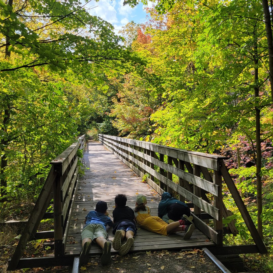 It may not be Sunday, but it is World Sun Day! ☀️🕶️ Have a sun-shiny day everyone!

#focusonnature #nonprofitorganization #nonprofit #naturephotography #nature #photography #ontario #ontarioschools #worldsunday #sun #sunshine #warmsun