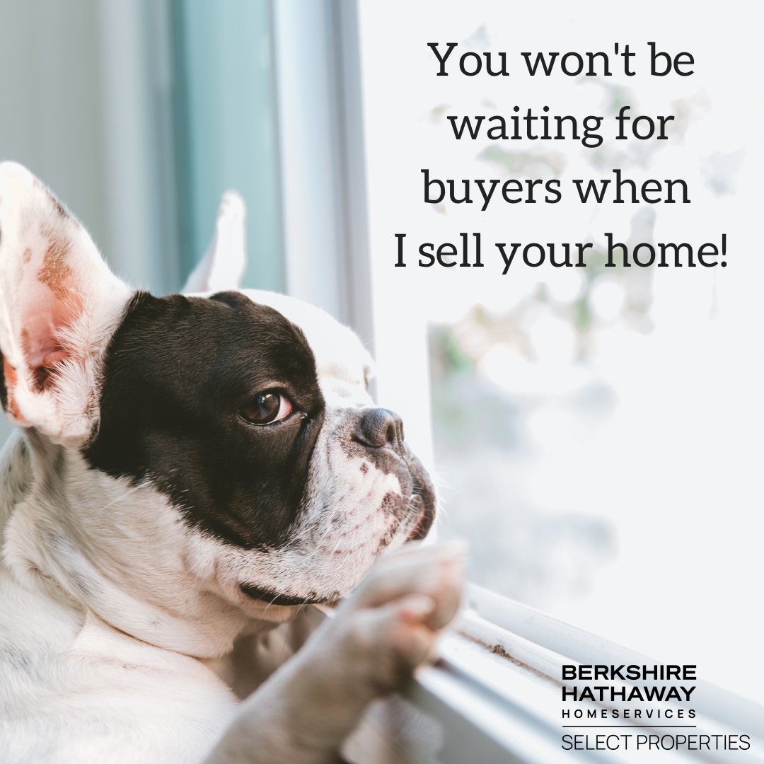 Is it time to sell your home? #doglife #sellers #homeselling #BestIsBest #SelectTheBest #AnthonyBestHomes