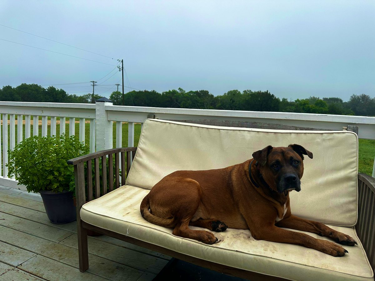 Its ok Sam. I didn’t really want to sit there this morning.