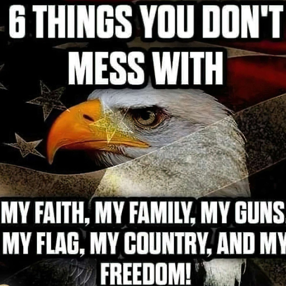 Don't tread on me 🦅‼️