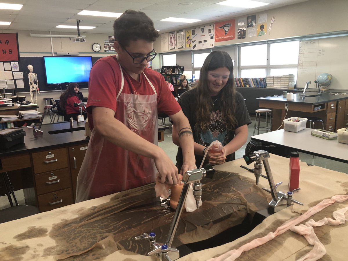 edwardsclass108's tweet photo. Special thanks to our cadet teacher for running the Pack The Wound lab. It quickly became a class competition. Best time thus far: 12s. Great work! #pltw #biomed #education #teachinginmay https://t.co/ZaBb1nsySK