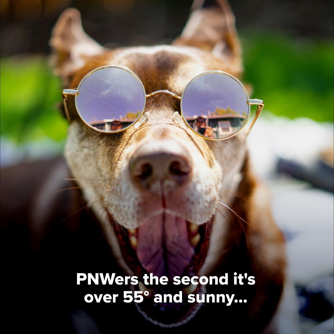 After the long winter, it's time to break out the shorts, sandals, and sunscreen! 🌞🕶️ 

#PlaidPros #PlumbersInPlaid #pnw #pacificnorthwest #vancouverwa #vanwa