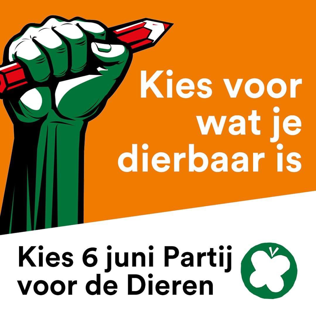 PvdDBreda's tweet photo. Op 6 juni zijn de Europese verkiezingen. Voor deze verkiezingen is de lokale werkgroep op zoek naar leden die willen helpen met de campagne. 

Wil jij meehelpen met flyeren of posterplakken voor onze partij? Laat het dan weten via breda@partijvoordedieren.nl https://t.co/eY5S4kFsfi