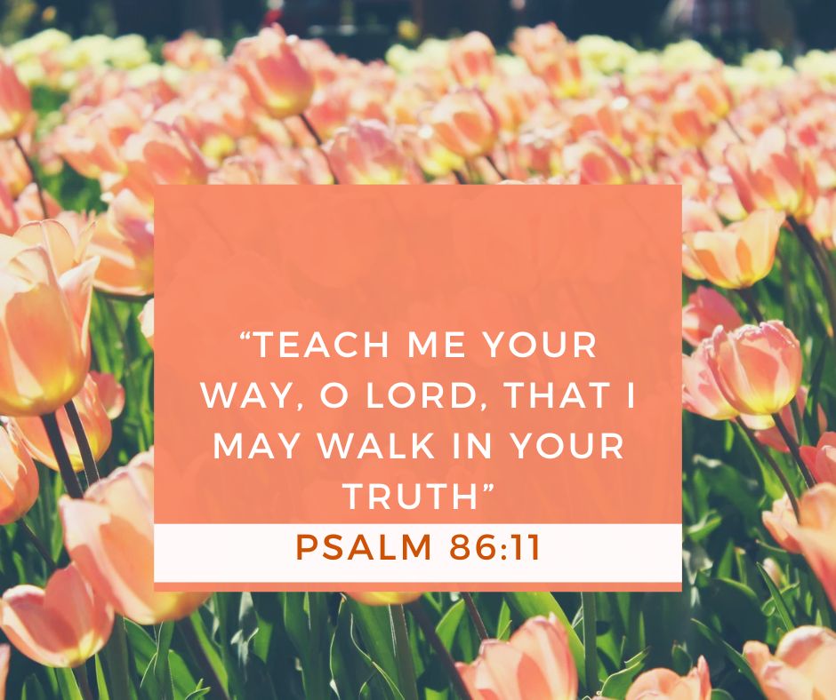 Good morning, everyone, Seek the Lord for His guidance and truth. HE is the WAY, HE is the TRUTH! May your day be blessed and filled with joy! #HowMuchJesusDoYouWant #EndHunger #EndFoodInsecurity #FeedTheHungry #SpreadTheGospel #ShareTheGospel #SpiritualFood