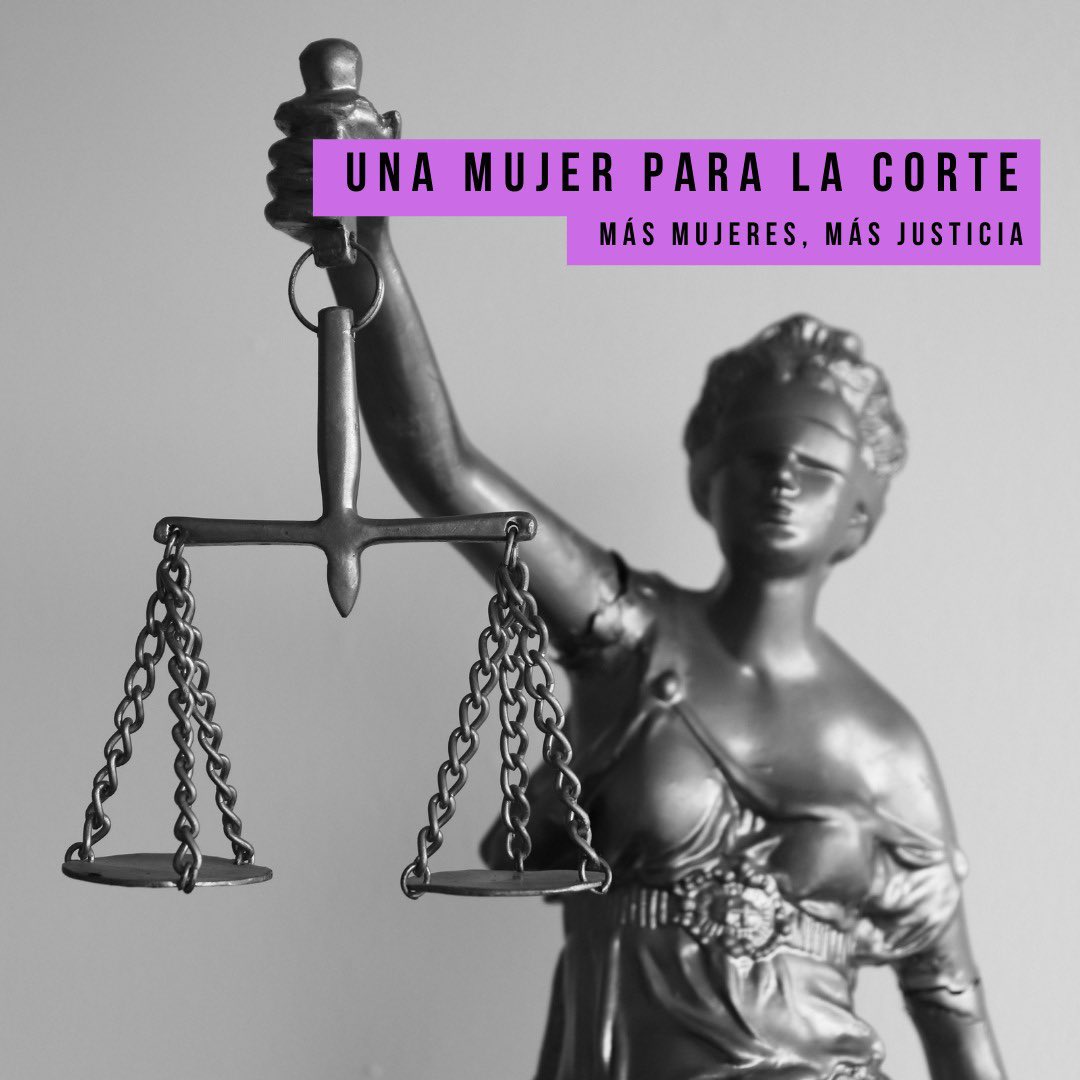 El reclamo de #UnaMujerParaLaCorte es de estricta justicia ⚖️ La conformación propuesta por el Poder Ejecutivo vulnera la Constitución Nacional y la Convención sobre la eliminación de todas las formas de Discriminación contra la Mujer (CEDAW). Te invitamos a informarte y firmar…
