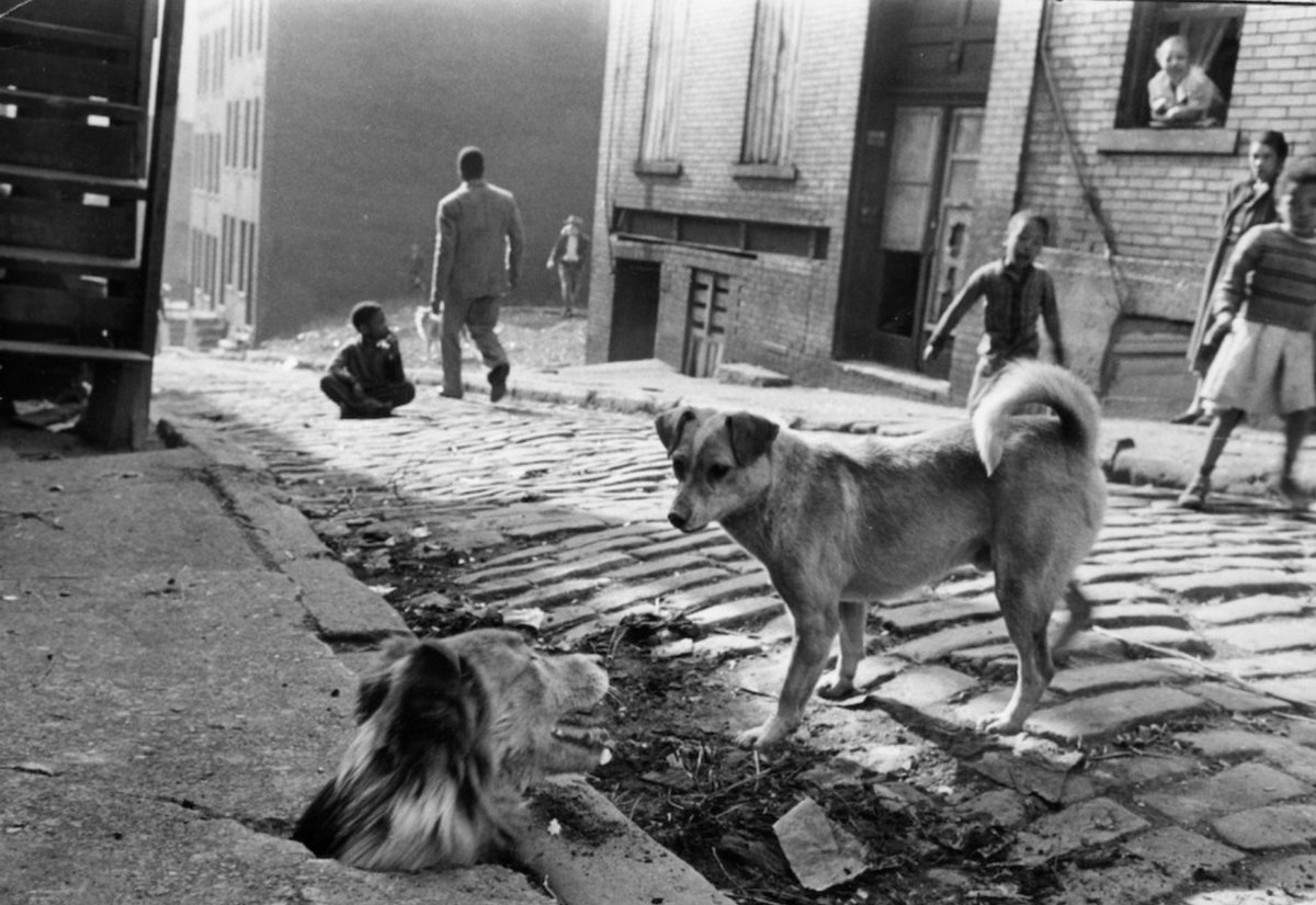 Ivan Massar, I'm Not Allowed Out: Hill District, Pittsburgh 1952