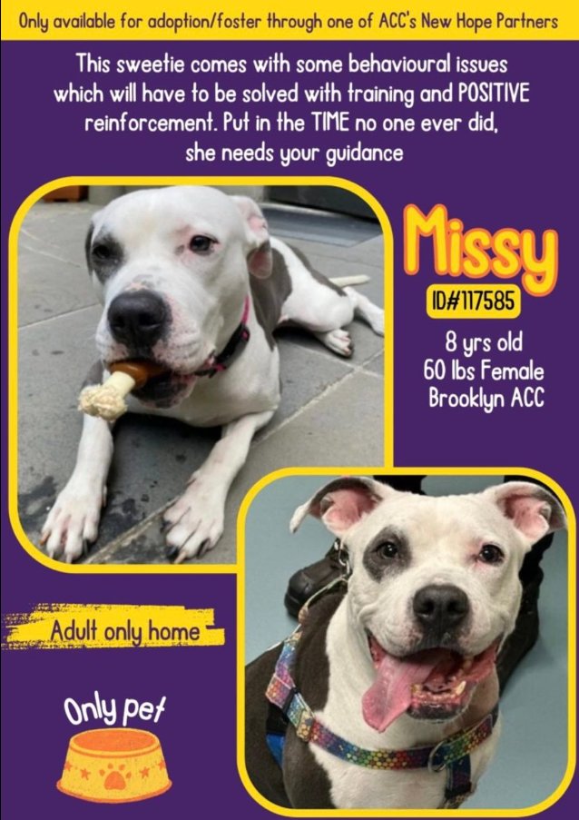 #FridayMorning It is with great sadness Edward & Missy were killed #NYCACC I am so sorry😔 You will want to know the circumstances, sadly we do not have the answers. We need #reform to re-prioritize As guardians to these precious beings we must do better. Edward & Missy💞