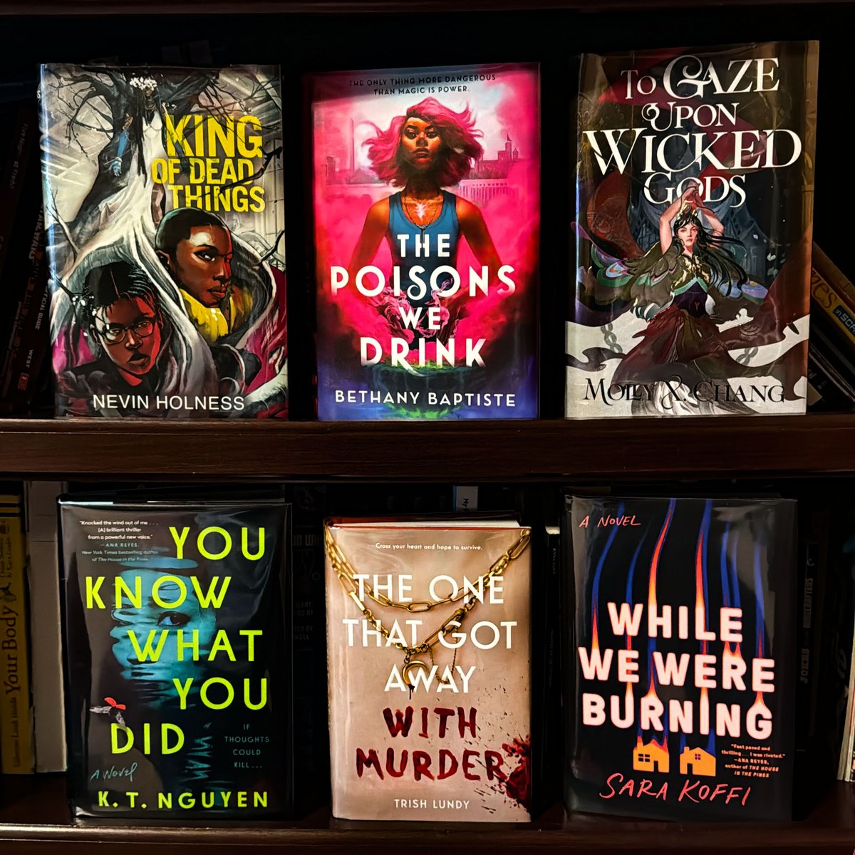 Today's #2024Debuts #shelfie is full of magic and murder! I listened to THE POISONS WE DRINK audiobook and it was amazing! Excited to check out TO GAZE UPON WICKED GODS too. Authors and titles in thread.