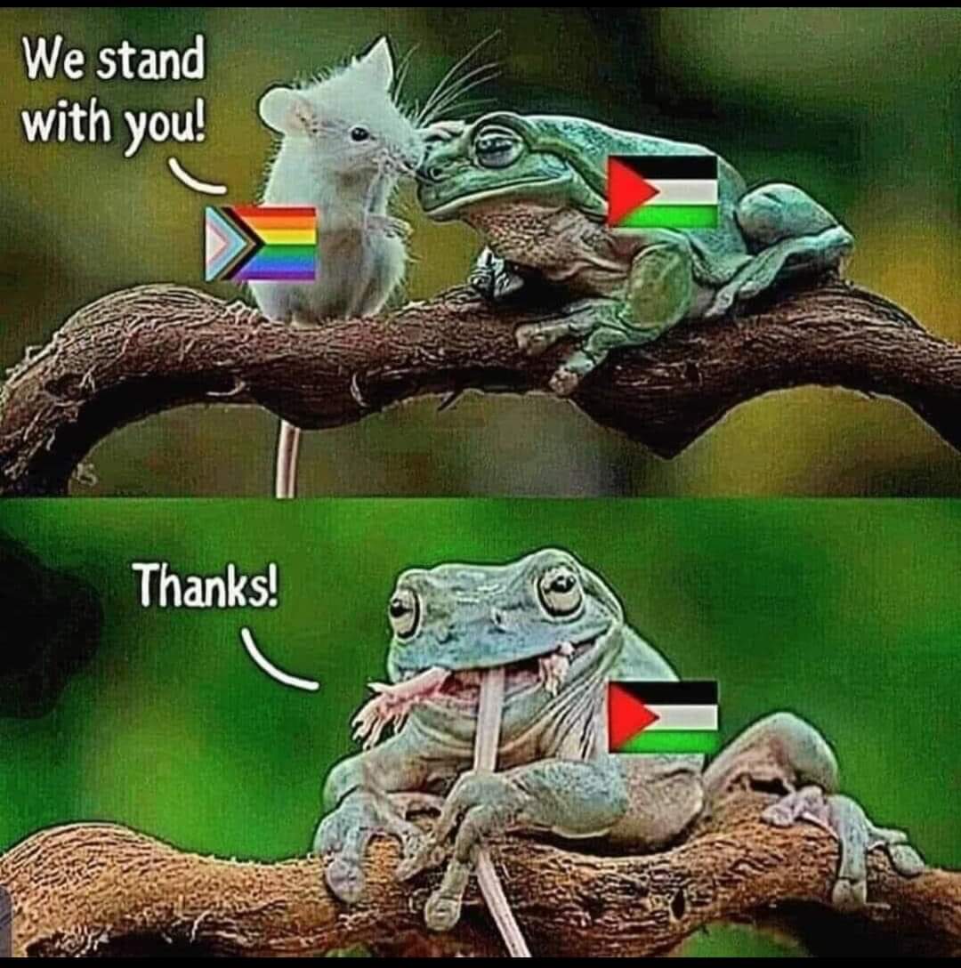 @LGBTQ4Palestine @Visa