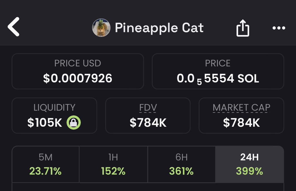 The cat with a pineapple on its head 

$PCAT.