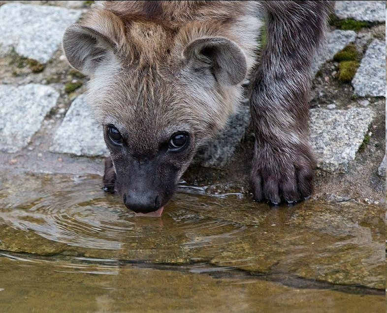SpaceYeen tweet media