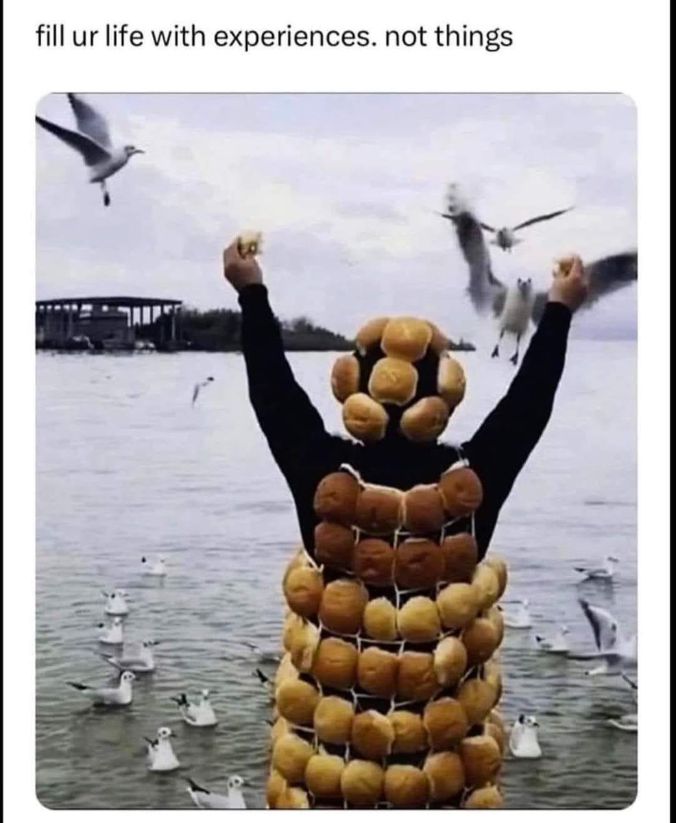 ShxtPostCentral's tweet image. If you don’t have experiences, what are you living for

#life #experiences #forever