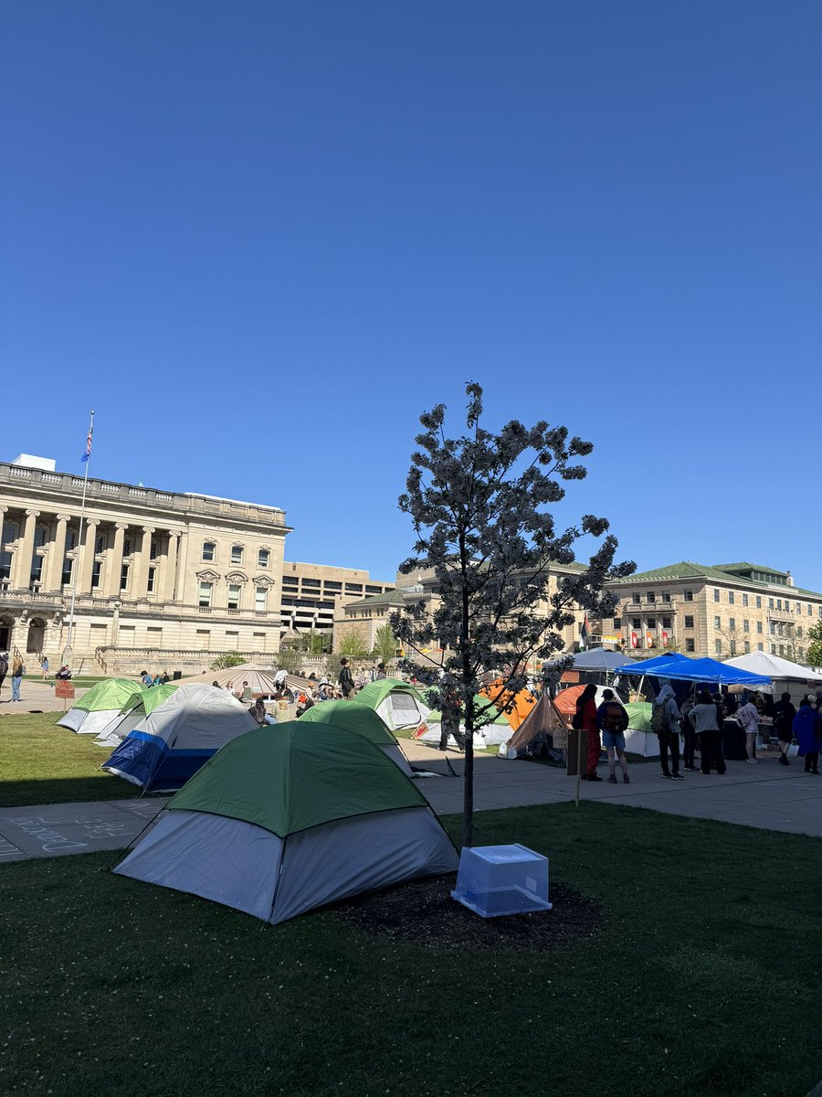 Ava Menkes tweet media