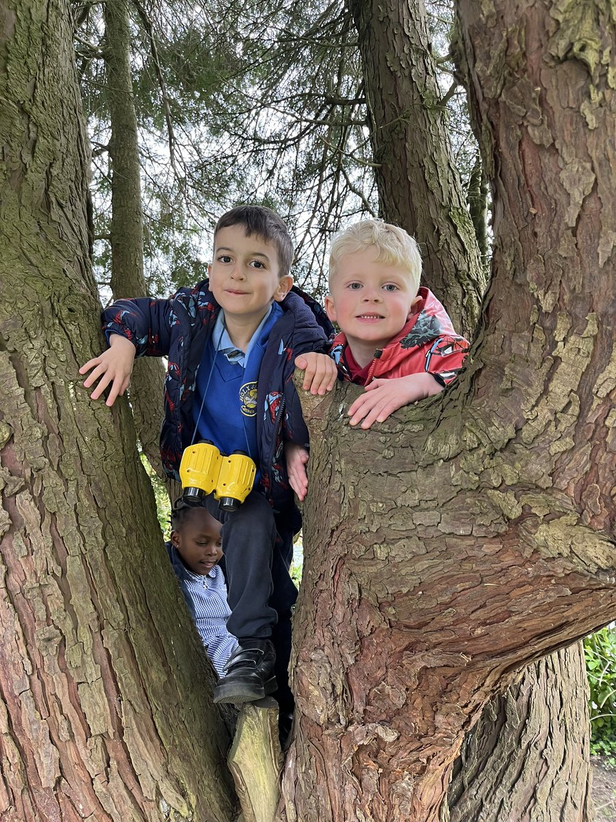 The weather this week has been fabulous! The children in #EYFS were very excited to get back in our forest area.#rollonsummer